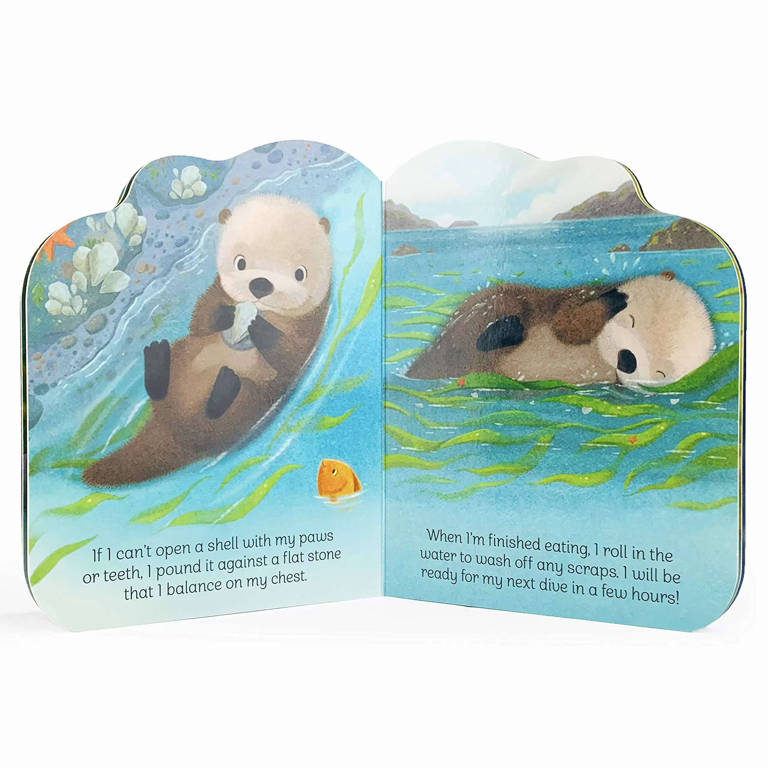 A Little Otter Board Book