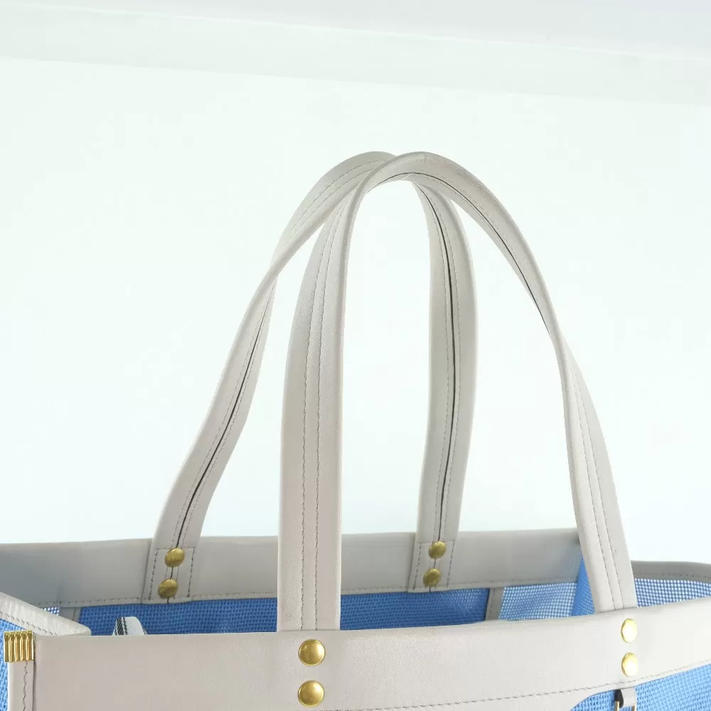 Anya Hindmarch Tote Bag Calfskin light blue Women Used Authentic