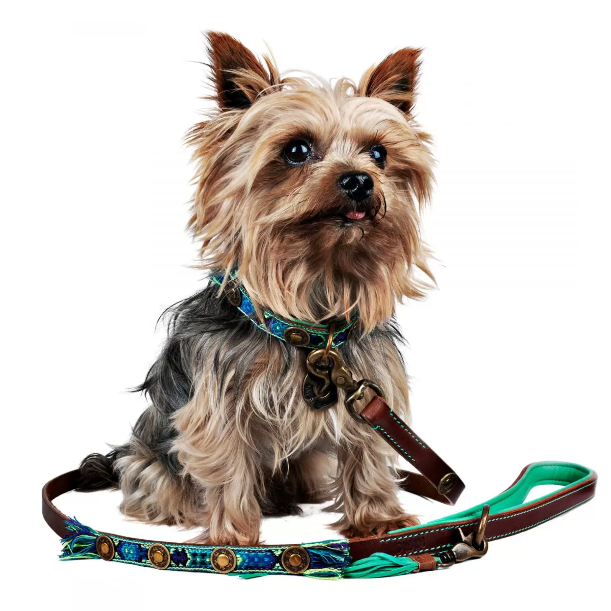 Dog with a Mission Boho Juan Fringed Dog Collar BLUE