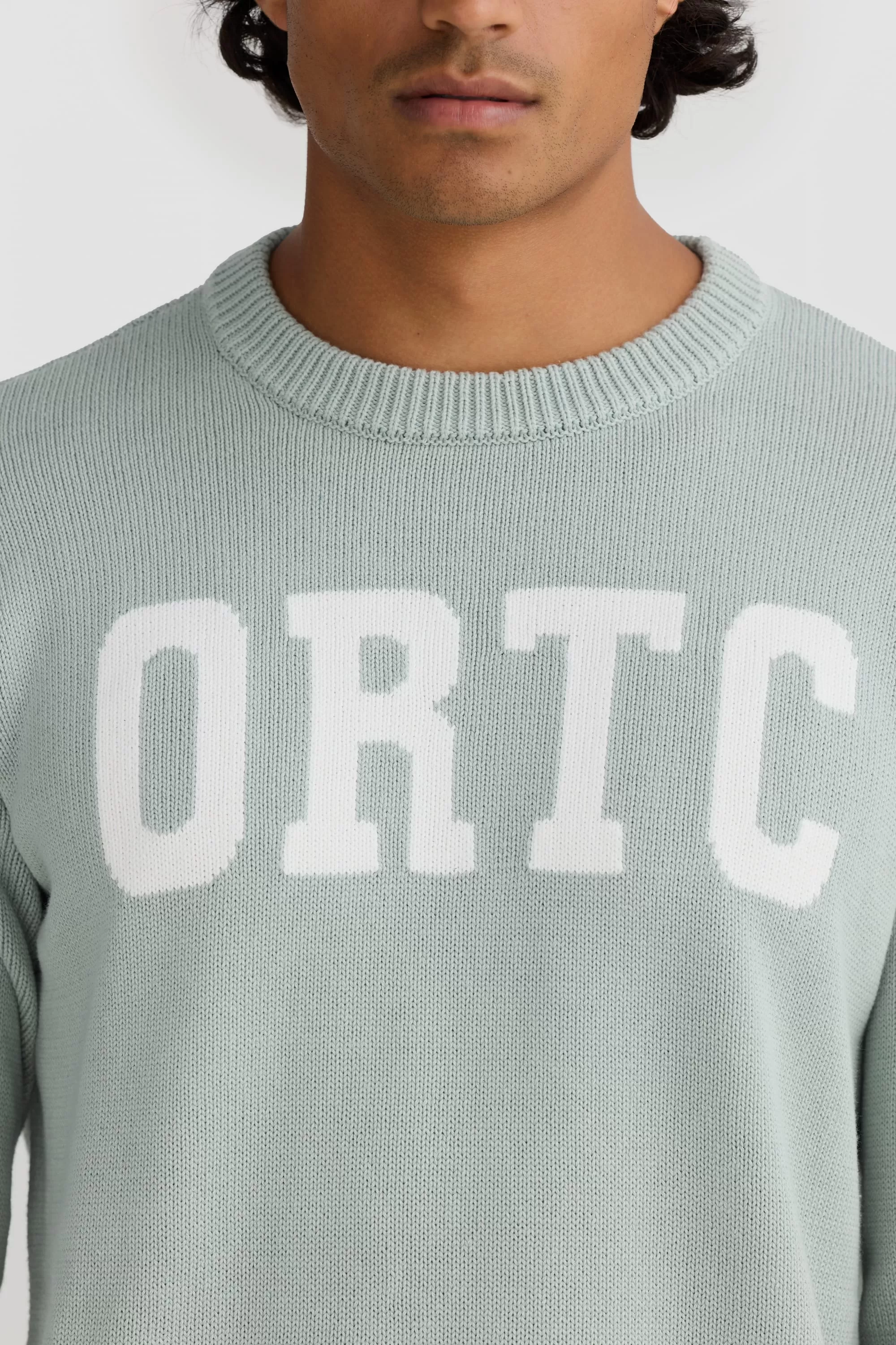 Original Logo Knit Crew Sage