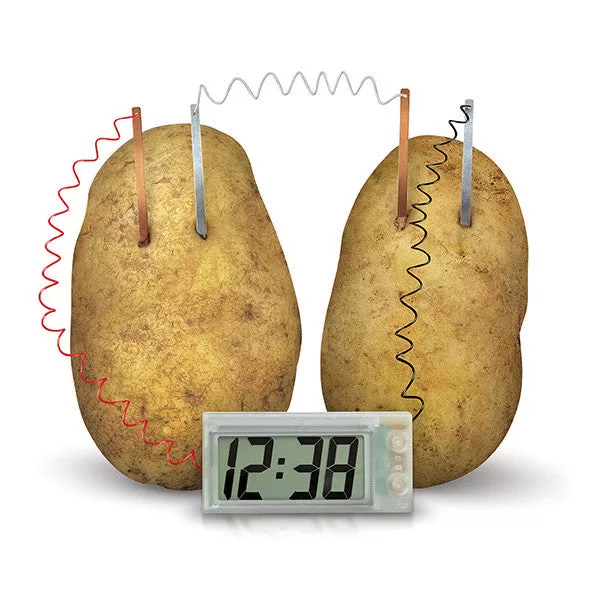 "Potato Clock" - Science Kit