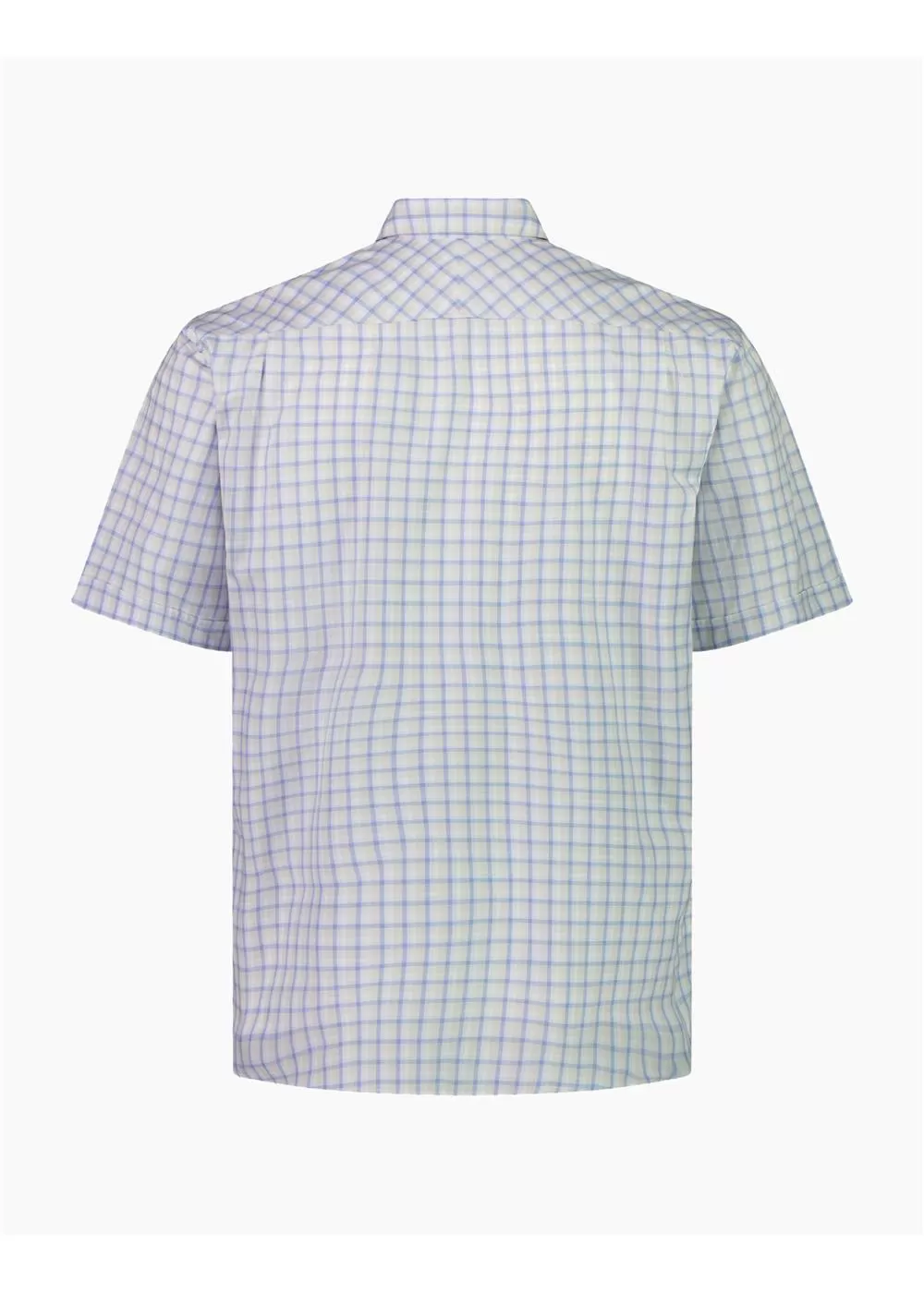 Rembrandt - Raglan Short Sleeved Shirt - Blue Check