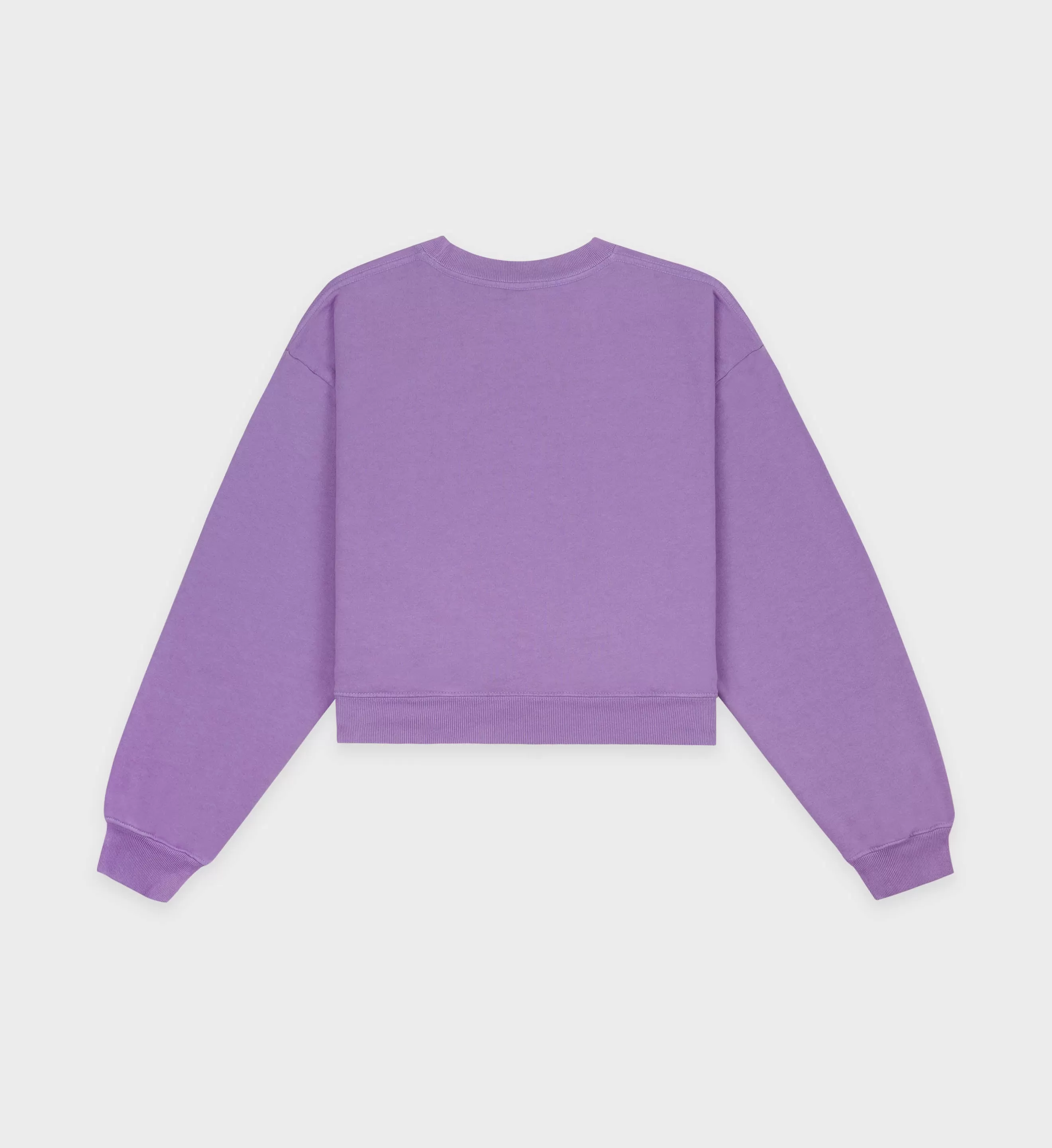 Wellness Ivy Cropped Crewneck - Violet/White